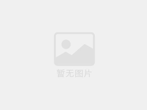 ?復(fù)興偉業(yè)助力直流永磁無(wú)刷電機(jī)行業(yè)實(shí)現(xiàn)高質(zhì)量發(fā)展